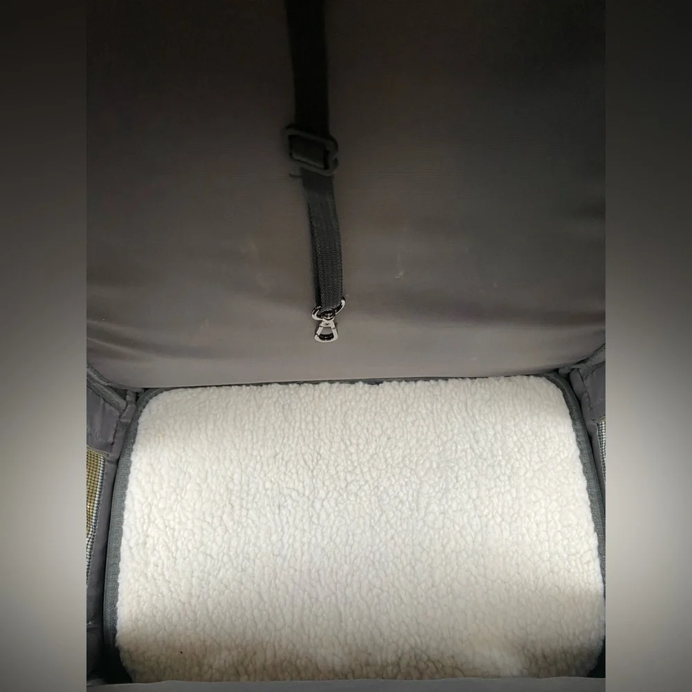Backpack Pet Carriers